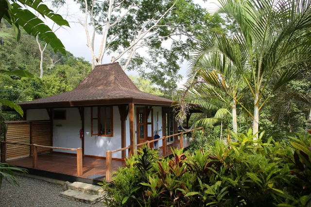 Uvita Bali Bosque