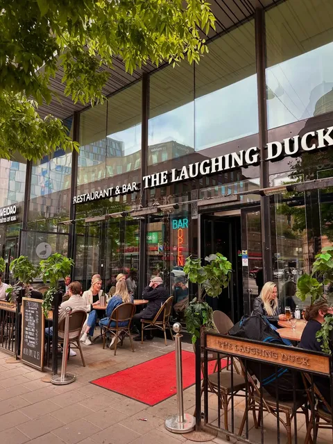 Laughing Duck