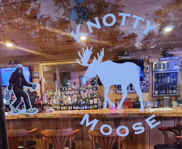 The Knotty Moose Cabins and Tavern