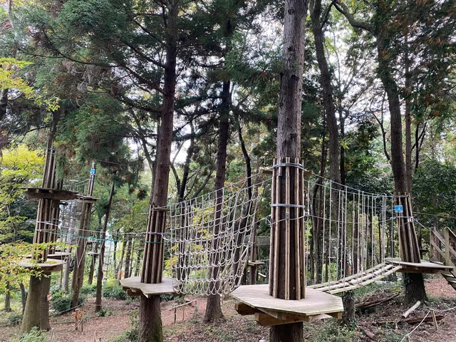 Forest Adventure Tsukuba