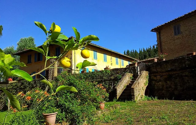Bassetto Guesthouse & Apartments