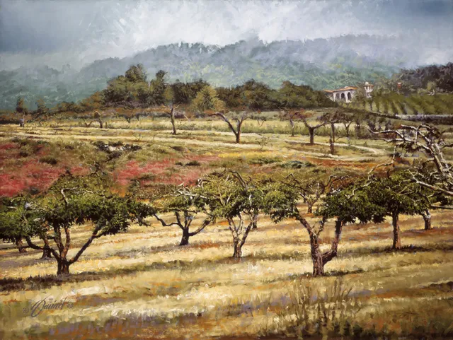 Wildland Images / Oak Glen Gallery