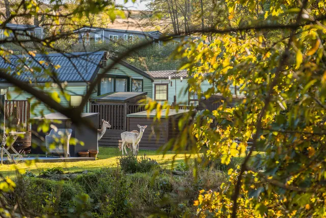 Bronte Country Park - Yorkshire