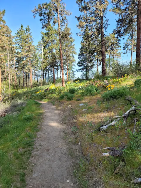 Peshastin Mill Trail