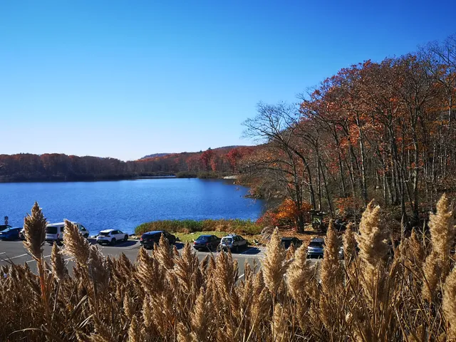 Arden-Surebridge / Long Path Trailheads