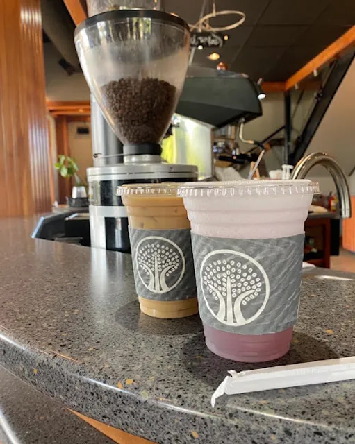 Three Tree Coffee at GSU