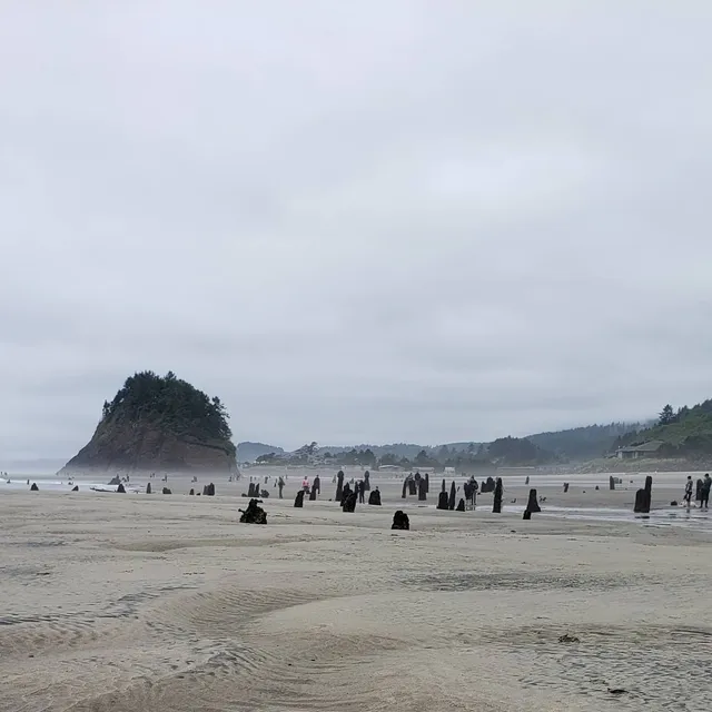 Neskowin Beach State Recreation Site