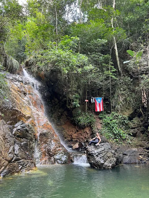 Bosque Estatal de Maricao