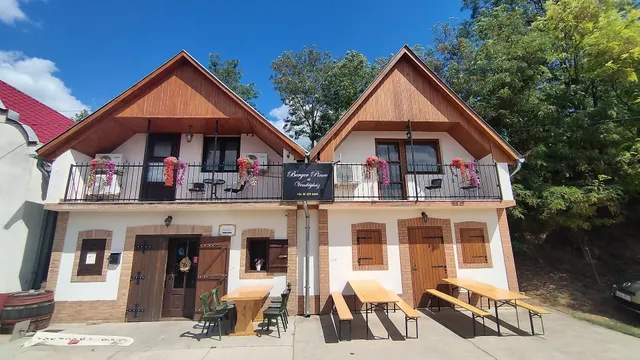 Berger Pince és vendégház