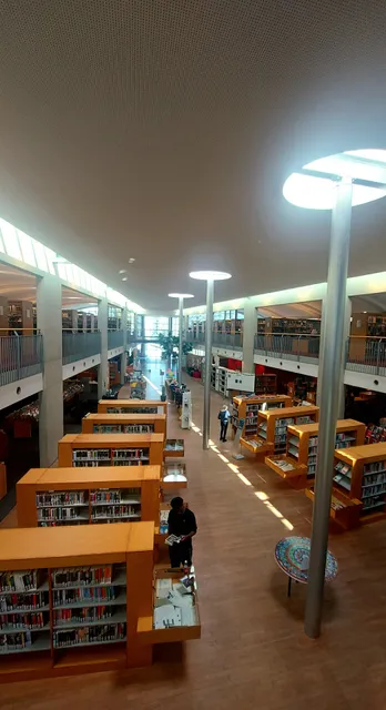 Library Ostend, Kris Lambert