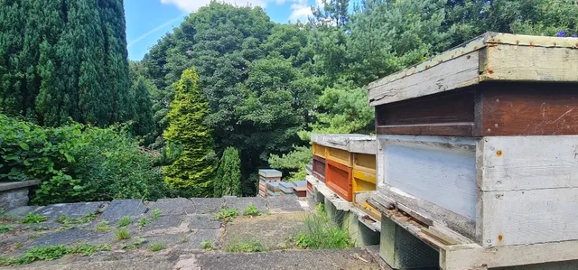 Daisy Nook Apiary