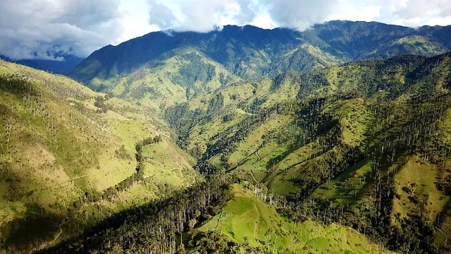 Mountain Bike Salento Carbonera