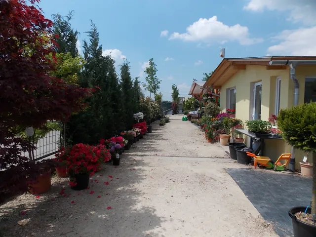 KertVilág - Esztergom - www.diszkertem.hu