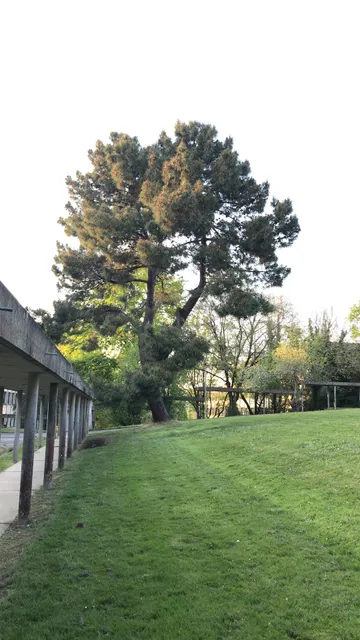 Université Rennes 1 Science and Philosophy
