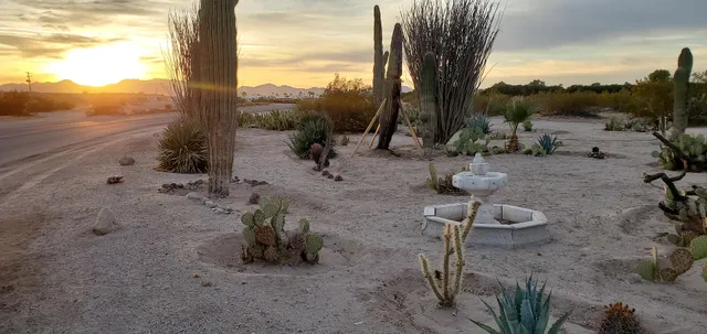 Wellton-Mohawk Co-Op Ace