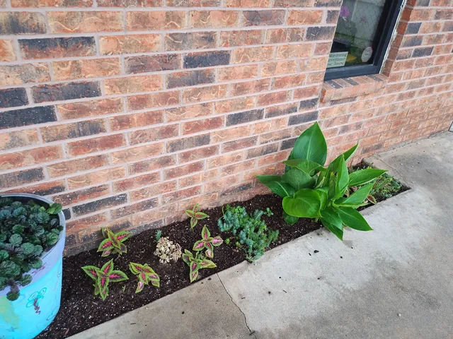 Faith 7 Activity Center