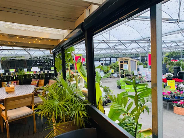 Cafe Botannix New Plymouth
