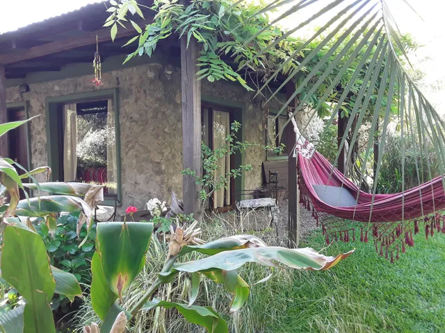 El Viento En Los Sauces