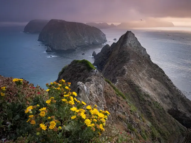 Anacapa Island