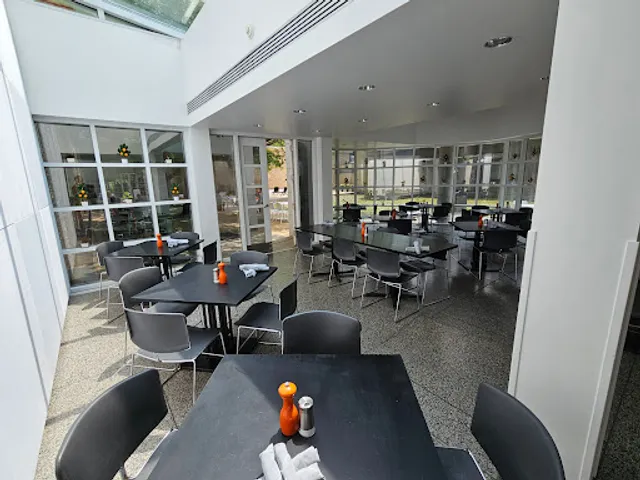 Tangerine at the Art Center