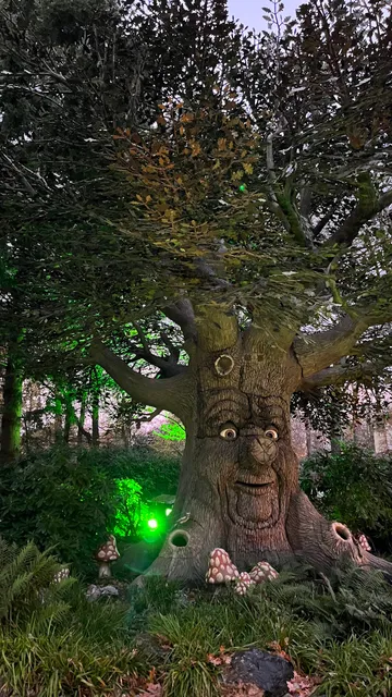Fairy Tale Tree Puppet Show