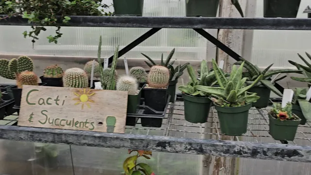 Ballek's Garden Center