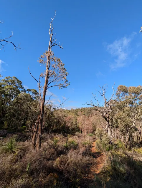 Xanthorrhoea Trail