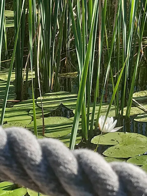 Teichcafé Kirchberg
