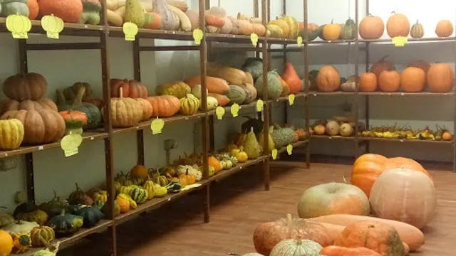 Bar Grazia Di Franco Di Corcia