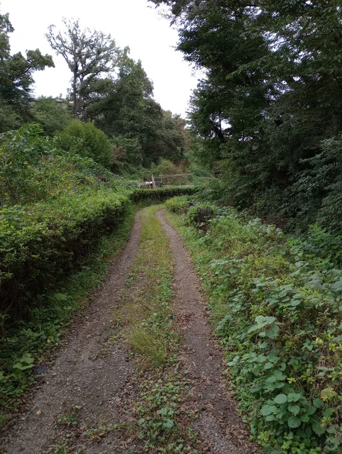 仏向町小川アメニティ