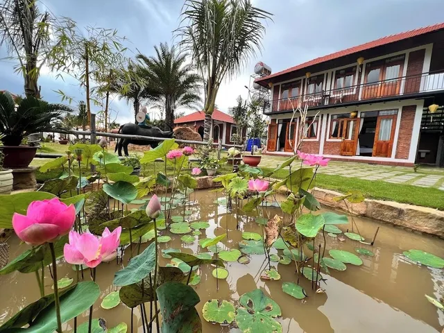 Nhà Hàng Lavender Resort