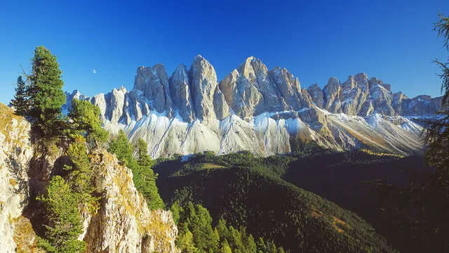 Art Apartment Schatzer