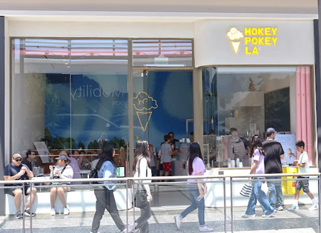 Hokey Pokey LA