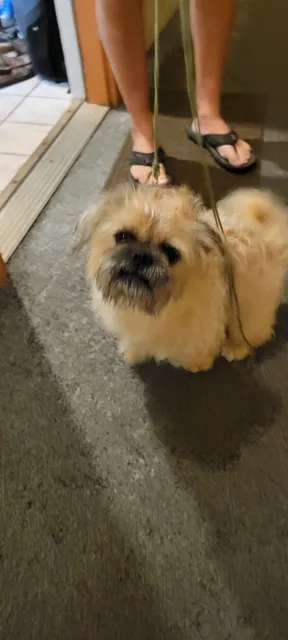 The Laguna Madre Humane Society