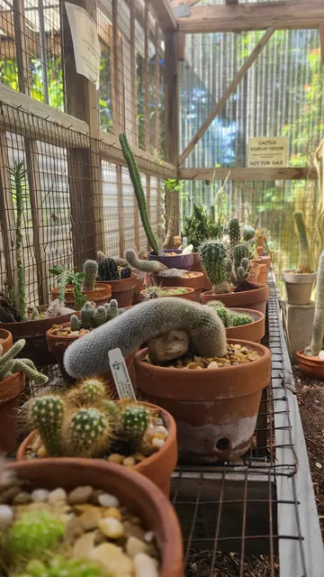 The Sarasota Succulent Society