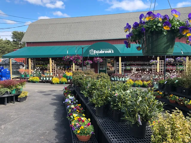 Estabrook's