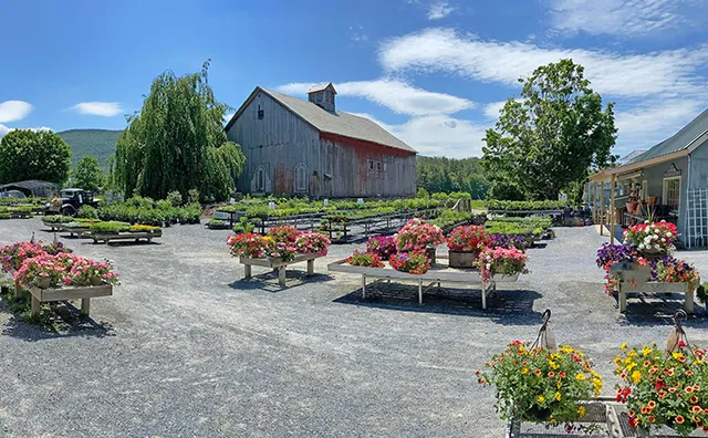 Equinox Valley Nursery
