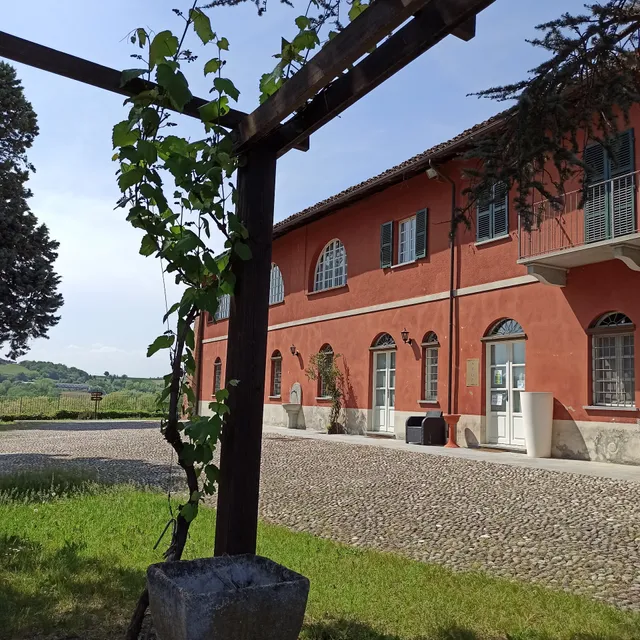 La Mondianese D&Vine