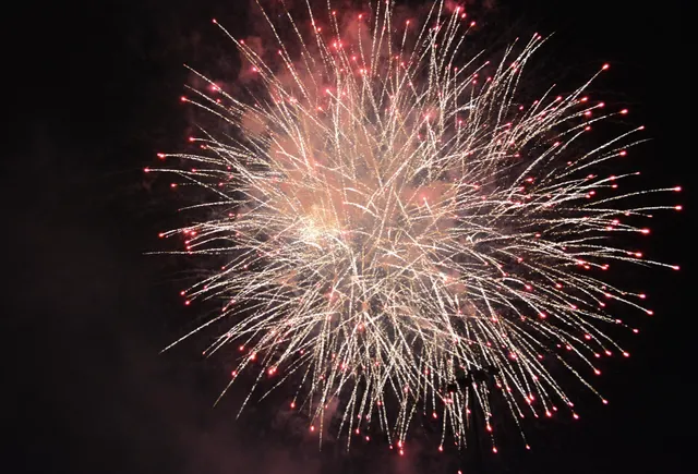 Wheat Ridge Carnation Festival
