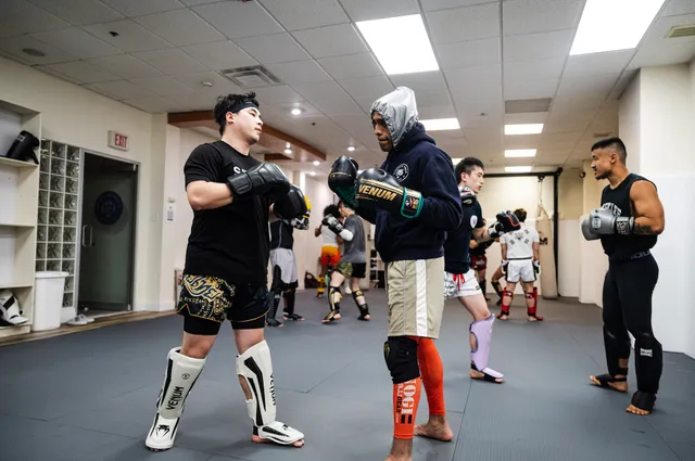 Korean Tiger Studios