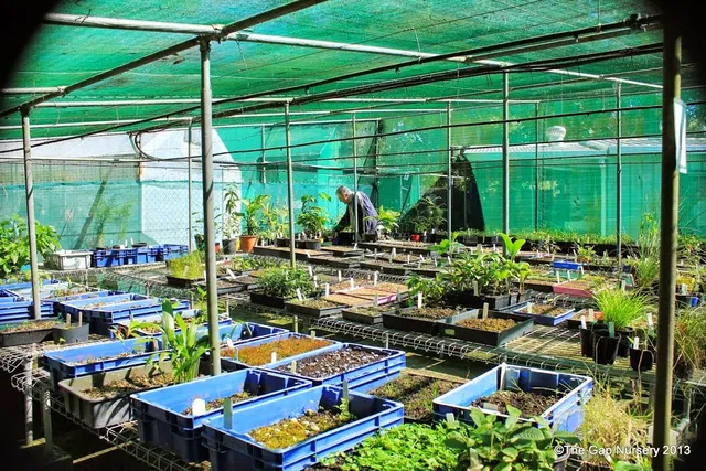 Paten Park Native Nursery