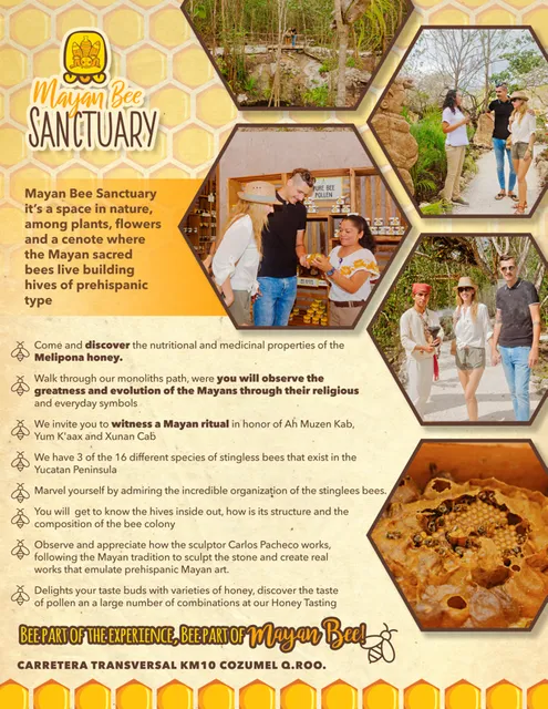 Mayan Bee Sanctuary