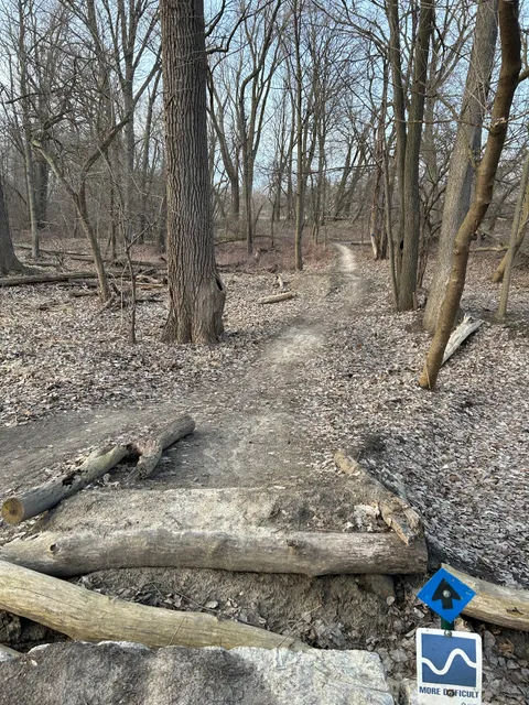Grand Rapids Bike Park
