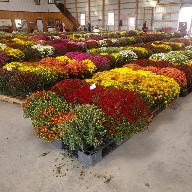 Seneca Produce Auction