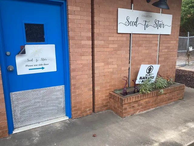 Seed To Star Collective