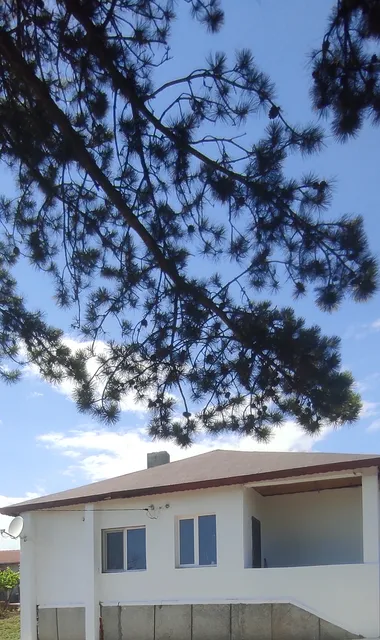 Вила Никови