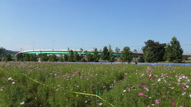 Hangang Project Headquarters Godeok Ecological Park Office
