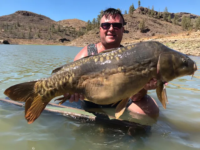 CARP GRAN CANARIA Island Fishing Tours