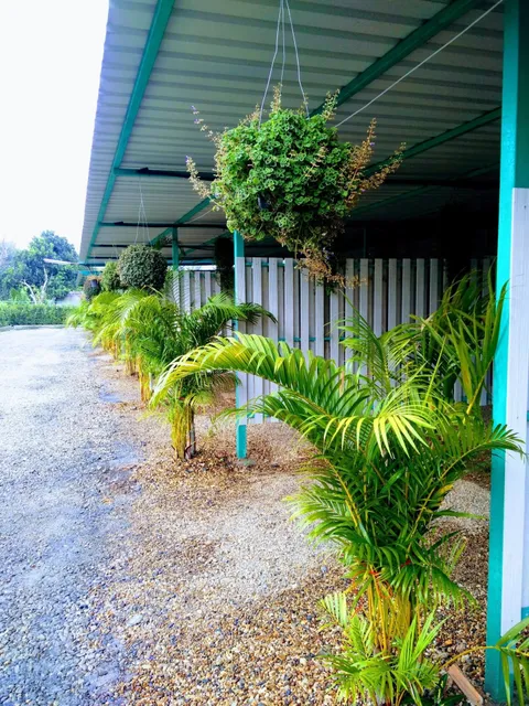 บิงซู 68 เกสเฮ้าส์