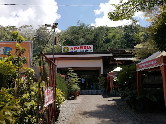 Apareja Buko Halo-Halo